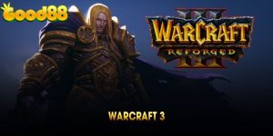 Warcraft 3 quốc tế Và Những Hình Thức Cá Cược Thú Vị Bạn