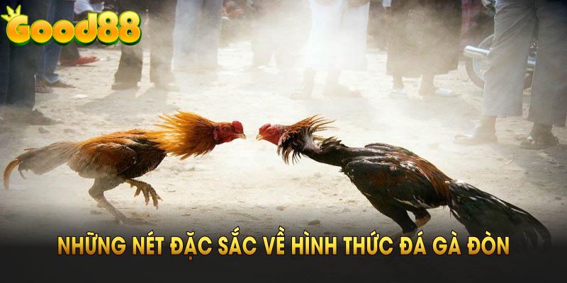 Những nét đặc sắc về hình thức đá gà đòn Good88 mà bạn nên biết