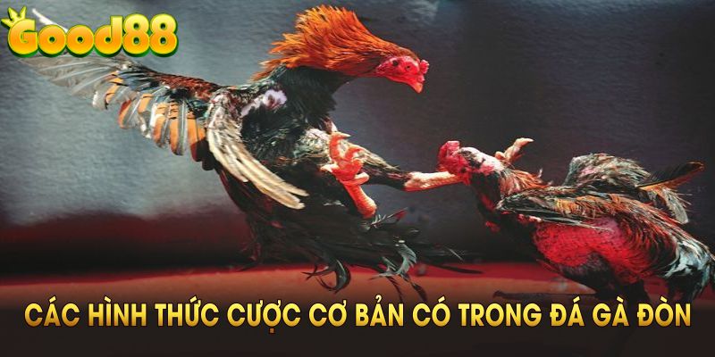 Các hình thức cược cơ bản có trong đá gà đòn Good88 bạn cần nắm