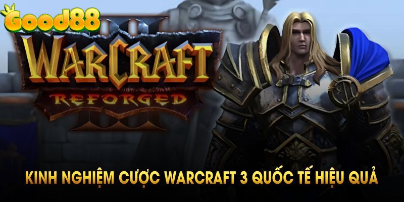 Kinh nghiệm cược warcraft 3 quốc tế hiệu quả hiện nay