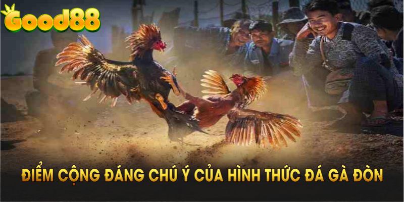 Những điểm cộng đáng chú ý của hình thức đá gà đòn Good88